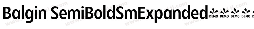 Balgin SemiBoldSmExpanded字体转换